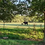 De Scherpenhof