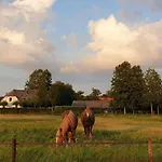 De Scherpenhof Bed & Breakfast Leur