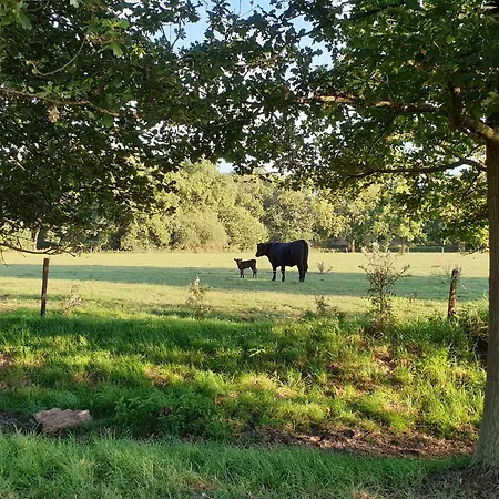 De Scherpenhof, Landelijk Gelegen Met Optie Jacuzzi