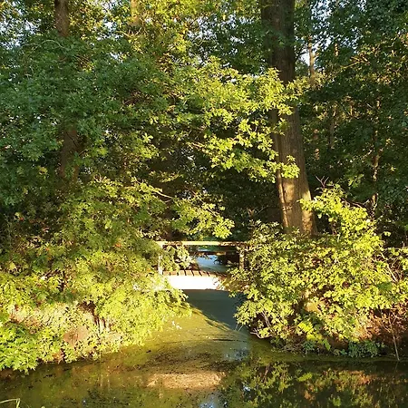 De Scherpenhof, Landelijk Gelegen Met Jacuzzi 4*