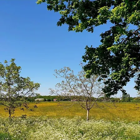 De Scherpenhof לינה וארוחת בוקר 4*