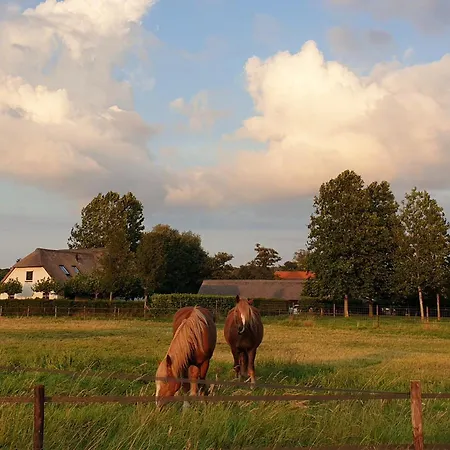 De Scherpenhof, Landelijk Gelegen Met Optie Jacuzzi 住宿加早餐酒店 Leur