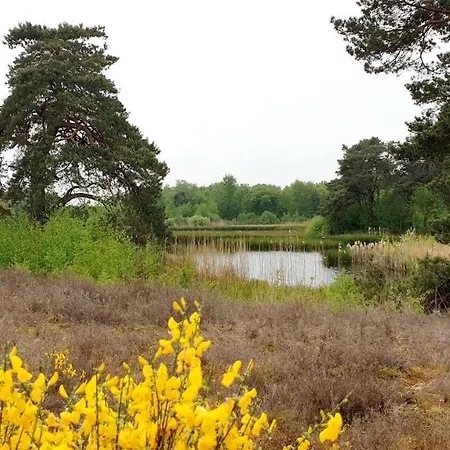 לינה וארוחת בוקר De Scherpenhof 4*