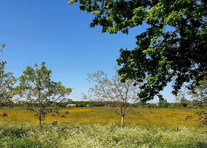 De Scherpenhof Bed & Breakfast 4*