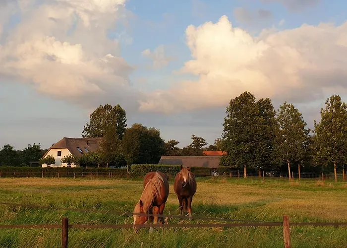 De Scherpenhof Bed & Breakfast Leur