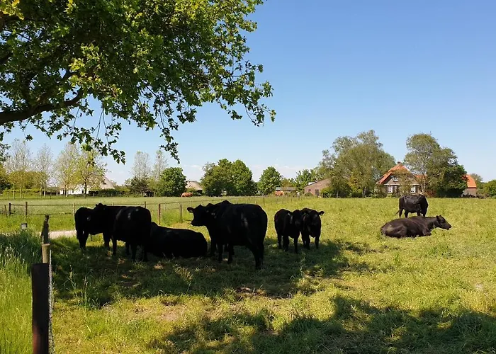 Bed & Breakfast De Scherpenhof