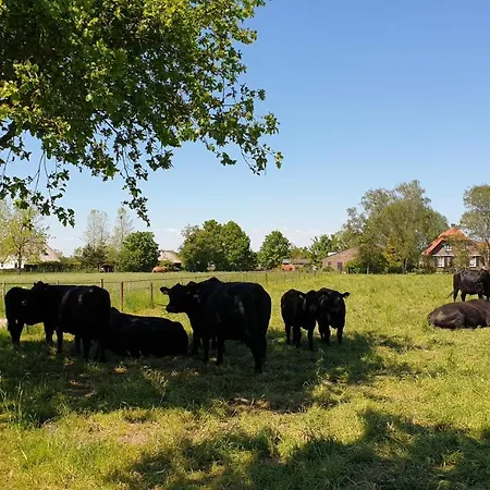 Alojamento de Acomodação e Pequeno-almoço De Scherpenhof