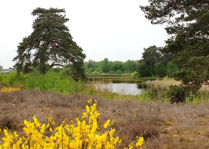 Bed and breakfast De Scherpenhof 4*